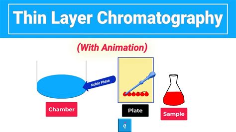 chromatography animation|Thin.